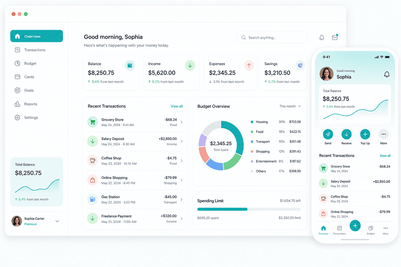CashPocket transactions and budget categories